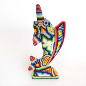 Pez vela | Microchaquira