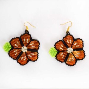 Brincos Huichol de microchaquira | Huichol