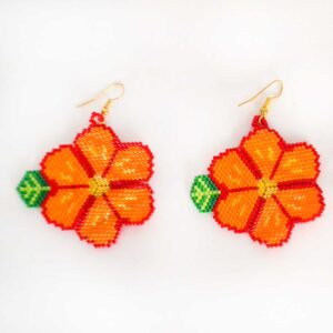 ホイチョルのマイクロチャキラのイヤリング｜Huichol