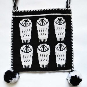 Morral de Arte Huichol