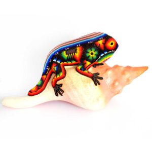 Leguan auf einer Schnecke | Huichol