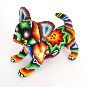 Chihuahua Hund | Huichol