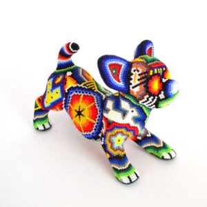 Chihuahua | Huichol dog
