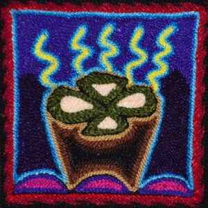Huichol-Kunstkammzug