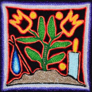 Huichol-Kunstkammzug