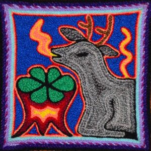 Wixarika-Kammgarn-Karton