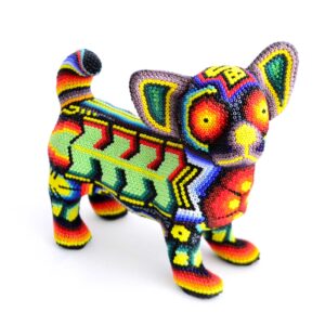 Chihuahua Huichol-Hund